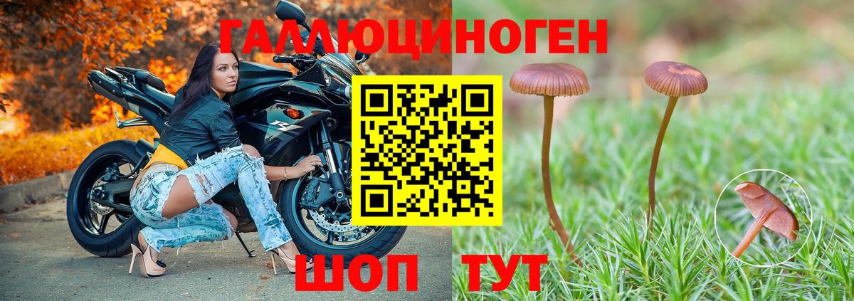 Галлюциногенные грибы GOLDEN TEACHER  Галлюциногенные грибы GOLDEN TEACHER  Грязи  Вход с VPN 