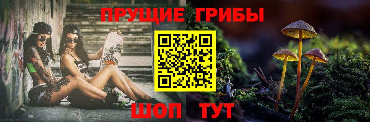 Псилоцибиновые грибы MAGIC MUSHROOMS Грязи